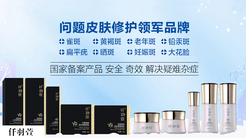 研发力量